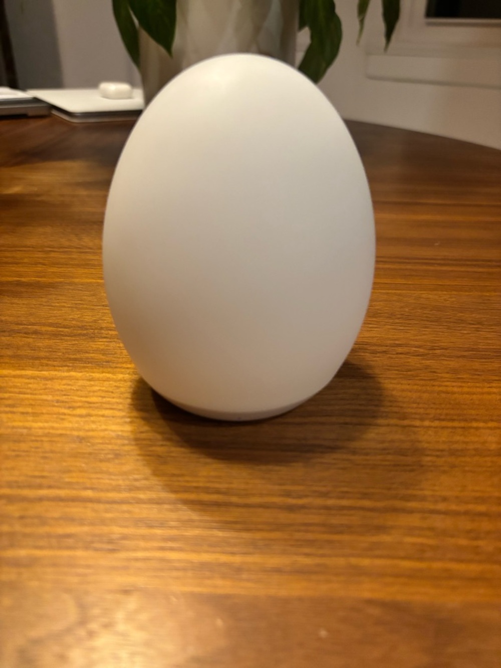 Mediacous | Portable LED egg light in white